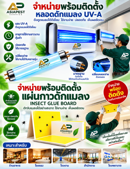 จำหน่ายพร้อมติดตั้ง หลอดดักแมลง UV-A จำหน่ายพร้อมติดตั้ง หลอดดักแมลง UV-A