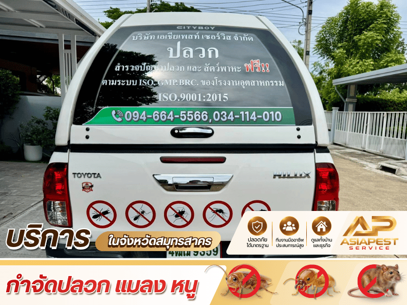 จำหน่ายอุปกรณ์ดักแมลงและผลิตภัณฑ์ควบคุมสัตว์รบกวน จำหน่ายอุปกรณ์ดักแมลงและผลิตภัณฑ์ควบคุมสัตว์รบกวน