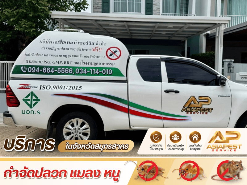 บริการ IPM ให้ความสำคัญกับการพิจารณาหลายปัจจัยร่วมกัน บริการ IPM ให้ความสำคัญกับการพิจารณาหลายปัจจัยร่วมกัน