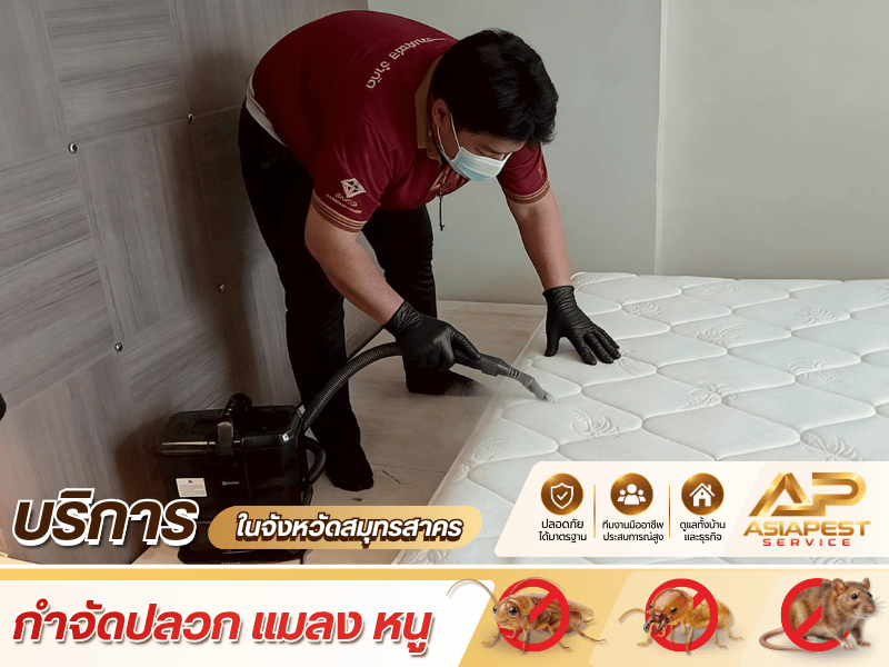 บริการ Pest Control แบบครบกระบวนการ_0 บริการ Pest Control แบบครบกระบวนการ_0