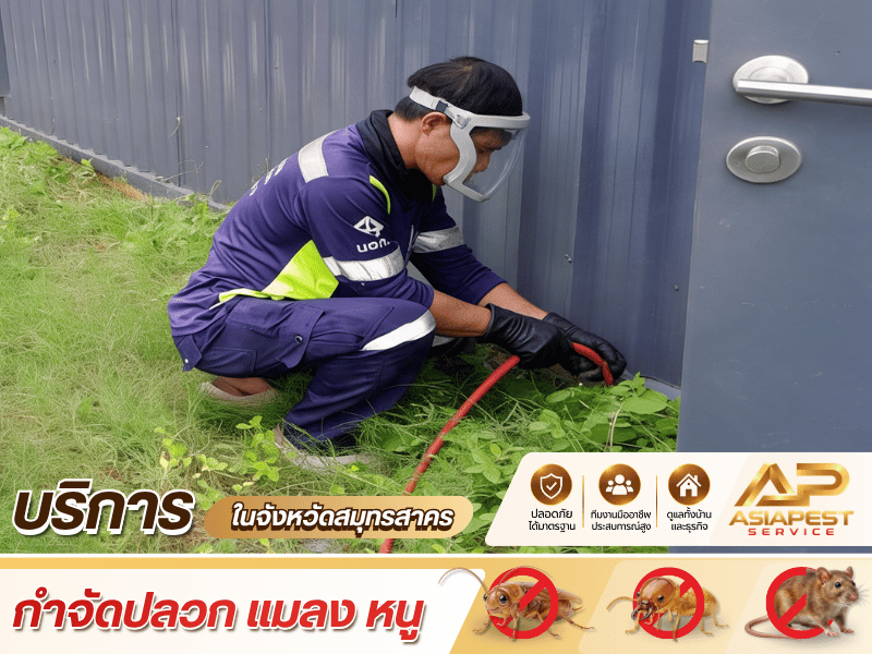 บริการรับกำจัดปลวกสำหรับ บริการรับกำจัดปลวกสำหรับ