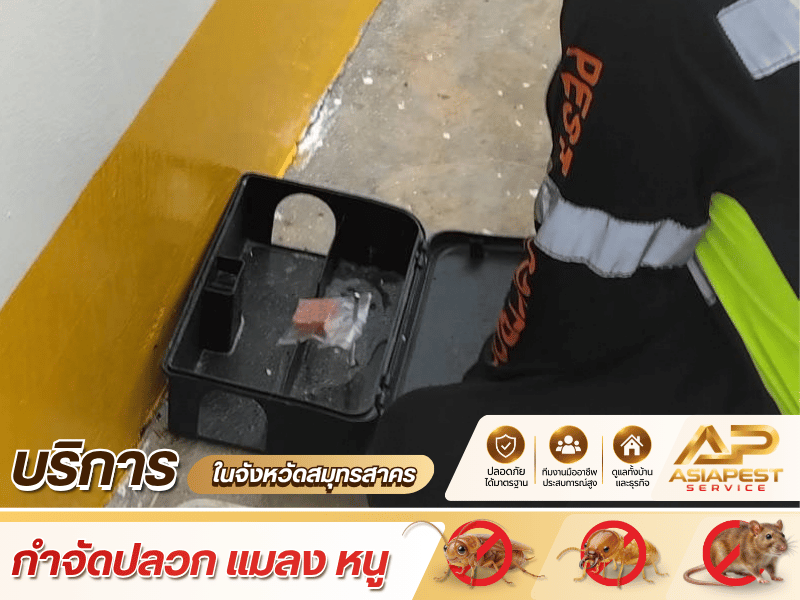 บริษัทรับกำจัดหนู สมุทรสาคร บริษัทรับกำจัดหนู สมุทรสาคร