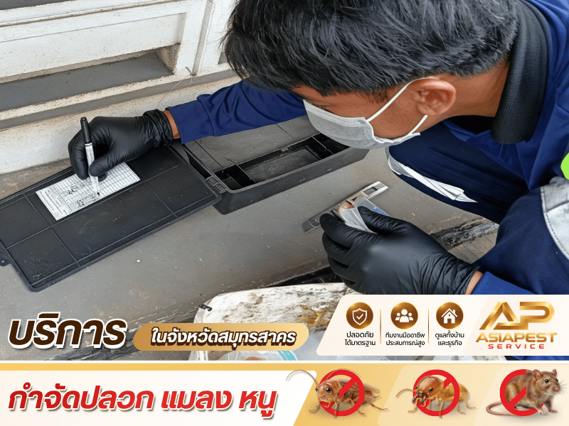 บริษัทรับกำจัดแมลง สมุทรสาคร บริษัทรับกำจัดแมลง สมุทรสาคร