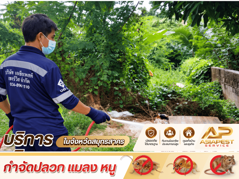 บริษัทรับกำจัดแมลงในสมุทรสาคร บริษัทรับกำจัดแมลงในสมุทรสาคร
