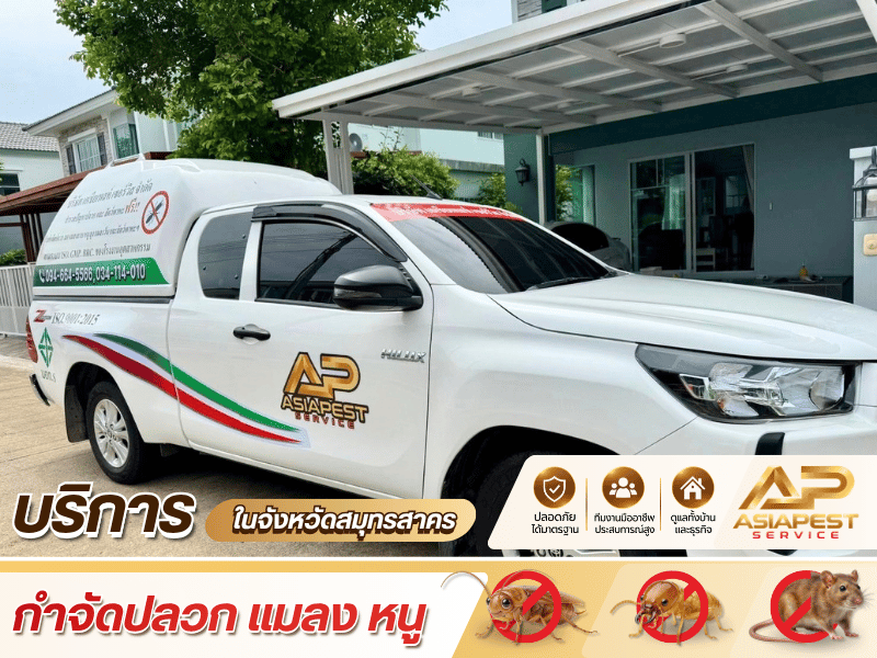 รับกำจัดปลวก สมุทรสาคร รับกำจัดปลวก สมุทรสาคร