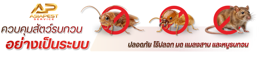รับกำจัดปลวก แมลง และหนู สมุทรสาคร รับกำจัดปลวก แมลง และหนู สมุทรสาคร